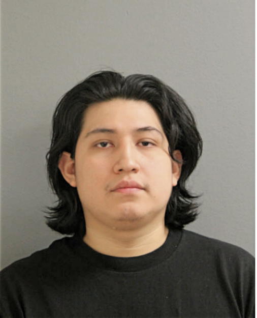 LUIS L MARCA, Cook County, Illinois