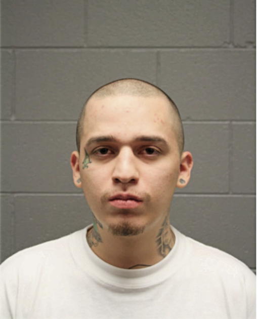 ANGEL MATA, Cook County, Illinois