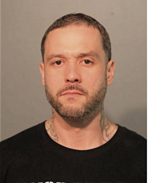 ANGEL G MELENDEZ, Cook County, Illinois