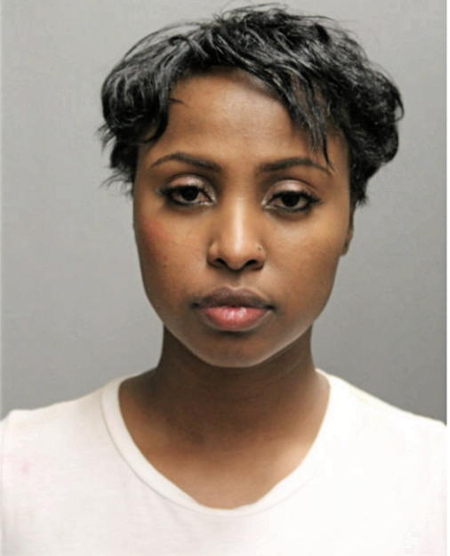 KHADIJA A MOHAMED, Cook County, Illinois
