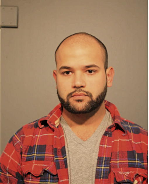 AMR NOURELDIN, Cook County, Illinois