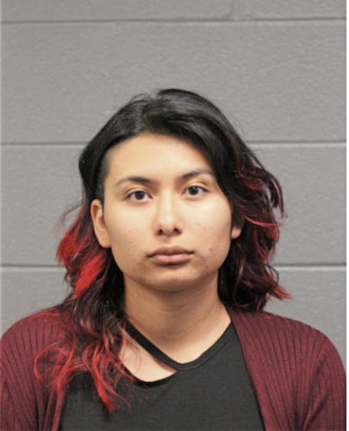 VANESSA REBOLLEDO, Cook County, Illinois
