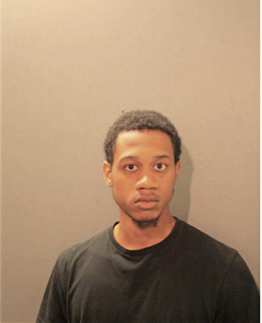 ROBERT L ROBINSON, Cook County, Illinois