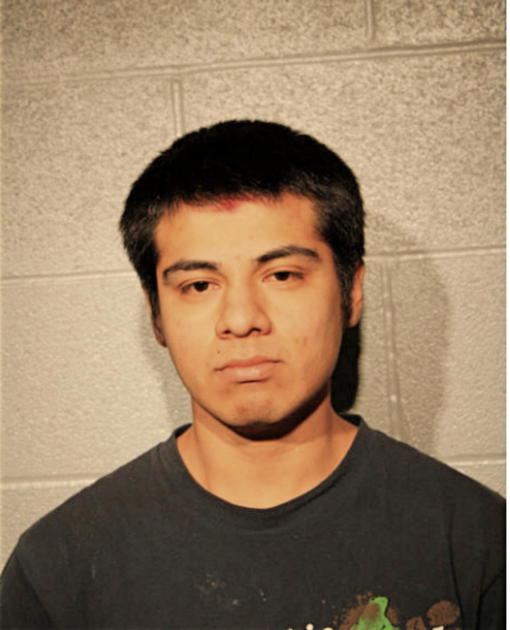 RENE SAMANO, Cook County, Illinois