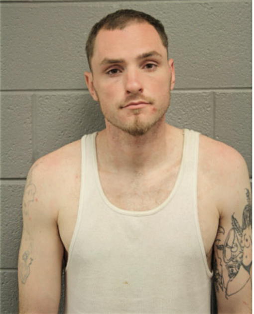 BRADLEY M SCHULTEN, Cook County, Illinois
