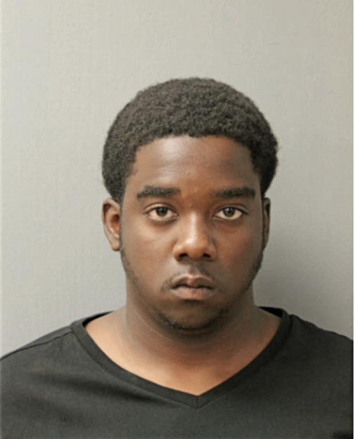 STEVEN T SHORTER, Cook County, Illinois