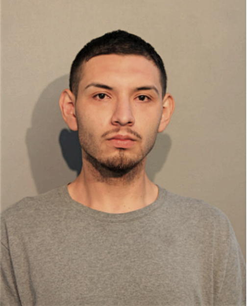 NESTOR A VASQUEZ, Cook County, Illinois