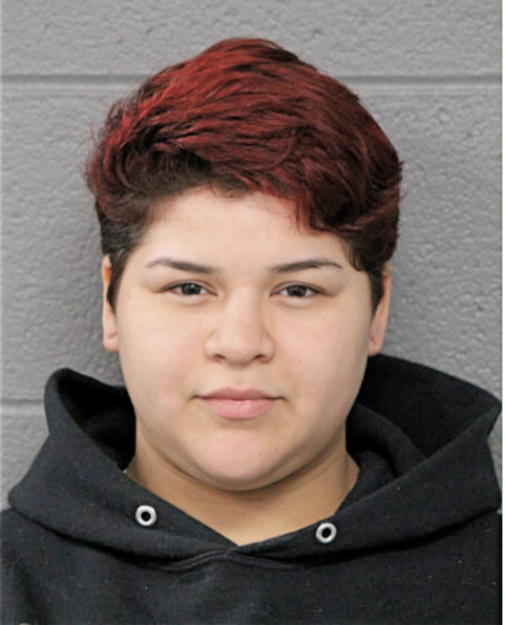 YOLANDA A VIDES, Cook County, Illinois