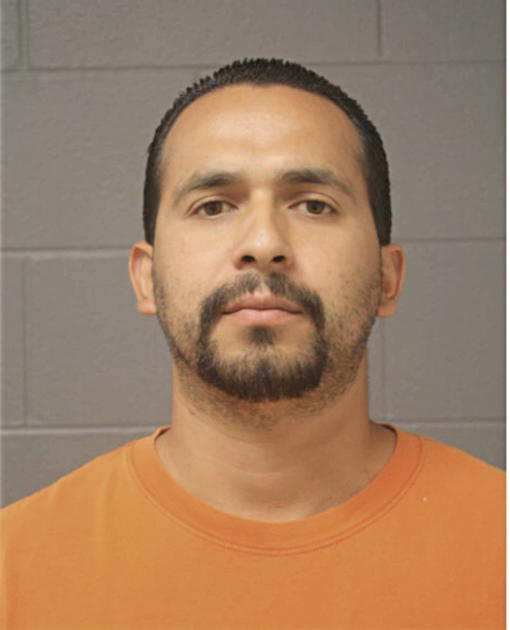 ALEJANDRO ZABALZA, Cook County, Illinois