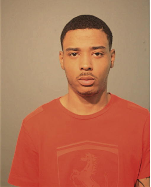 BRANDON R ADAMS, Cook County, Illinois