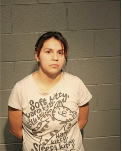 BRENDA ARMENTA, Cook County, Illinois