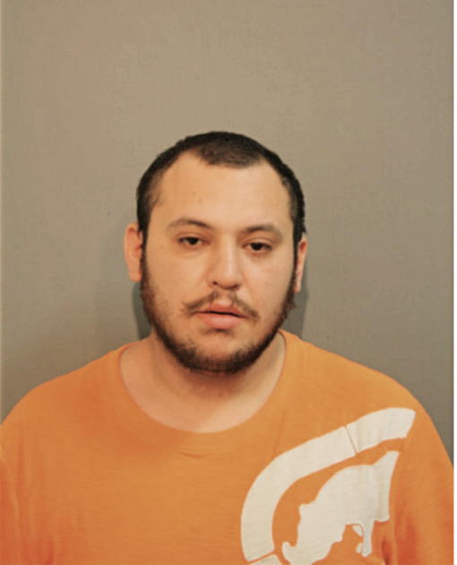 JOHN BAEZ, Cook County, Illinois