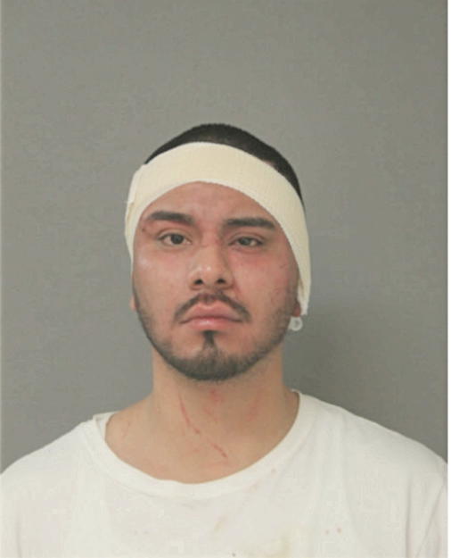 ALLAN BARON, Cook County, Illinois