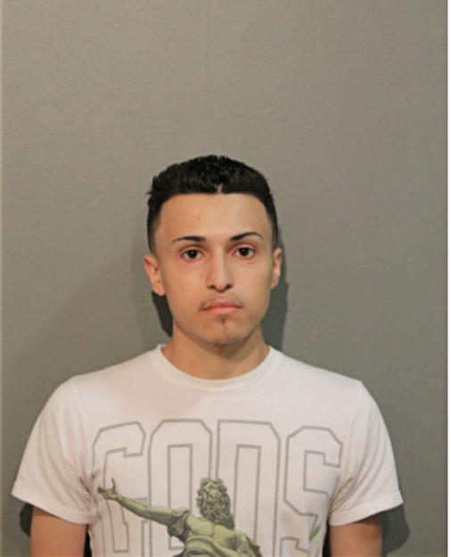 BENJAMIN A BRIZUELA, Cook County, Illinois