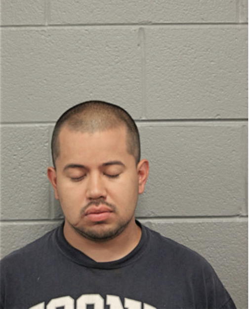 OMAR CASTANEDA, Cook County, Illinois