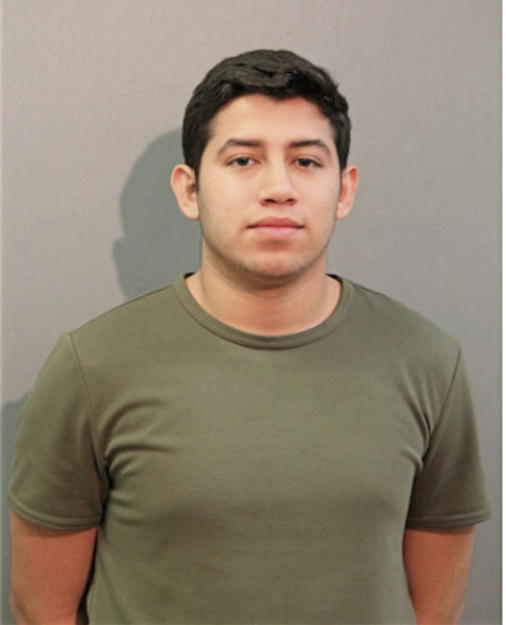 DANTE DIAZ, Cook County, Illinois