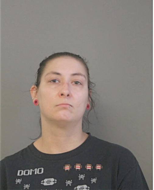 HILLARY L DRAPAK, Cook County, Illinois