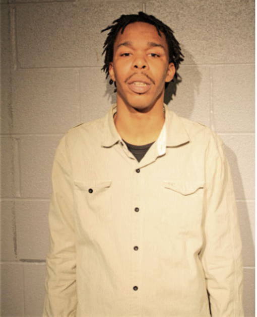 JOHNNIE A EVANS, Cook County, Illinois