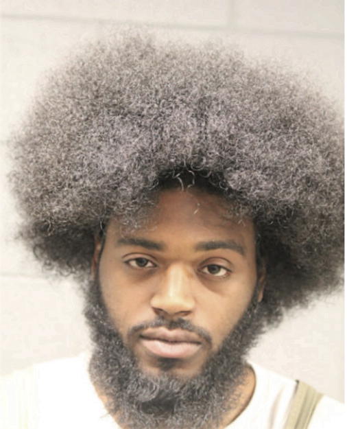 DEVANTE FRUGIA, Cook County, Illinois