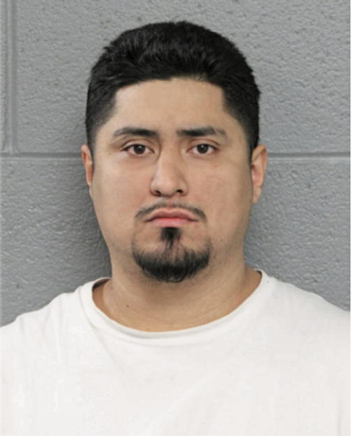 RODOLFO A GOMEZ, Cook County, Illinois