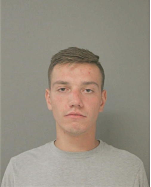 PRZEMYSLAW M GORNISIEWICZ, Cook County, Illinois