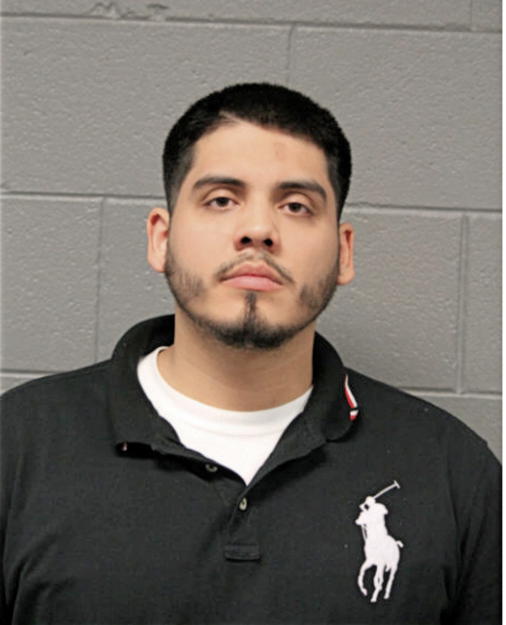 BRIAN GUERRERO, Cook County, Illinois