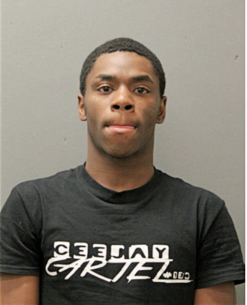 KOREY M HANILTON, Cook County, Illinois