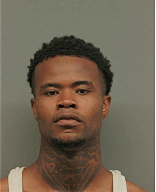 LESLIE J HENDERSON, Cook County, Illinois