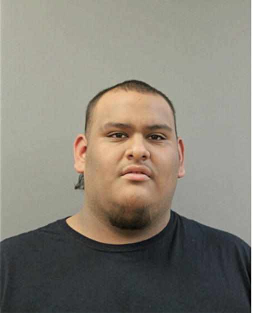 SERGIO A HERNANDEZ, Cook County, Illinois