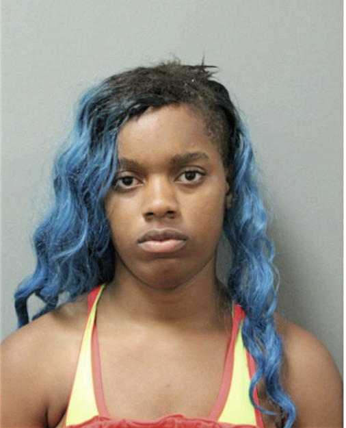 AMBER S HOWARD, Cook County, Illinois