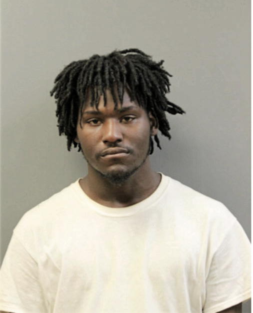 ARTHUR J JACKSON, Cook County, Illinois