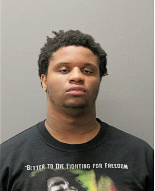 CHRISTOPHER J JOHNSON, Cook County, Illinois