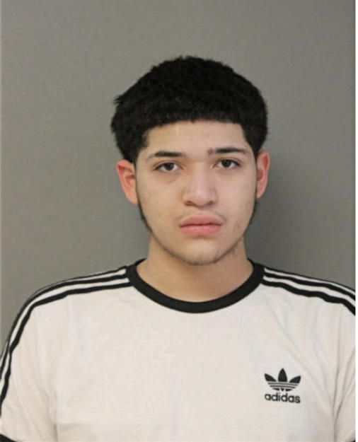 SAUL A LANDEROS, Cook County, Illinois