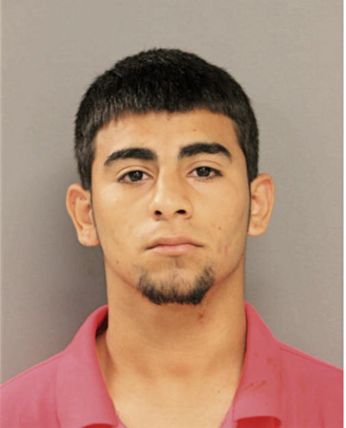 ERLIN J LARIOS, Cook County, Illinois