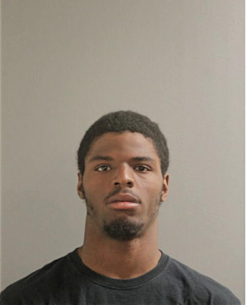 CHRISTOPHER D LOVING, Cook County, Illinois