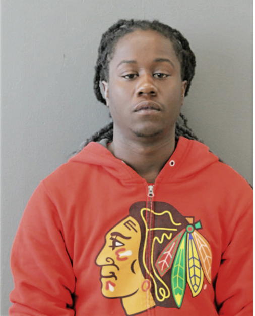 TERRY L MCDOWELL, Cook County, Illinois
