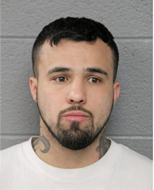 LUIS MENDOZA, Cook County, Illinois