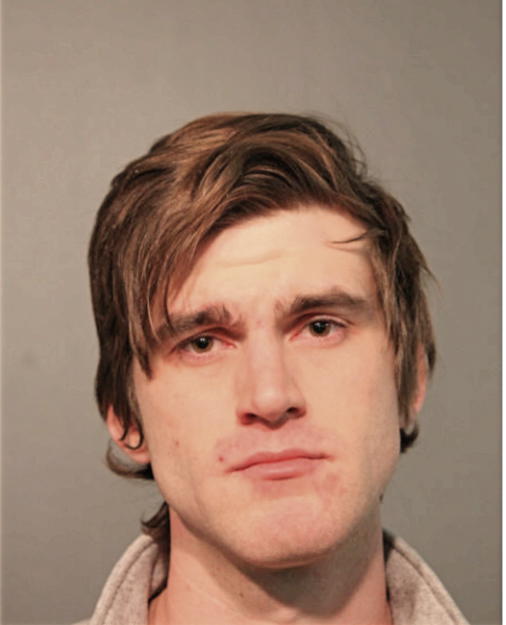 ETHAN S MOLL, Cook County, Illinois
