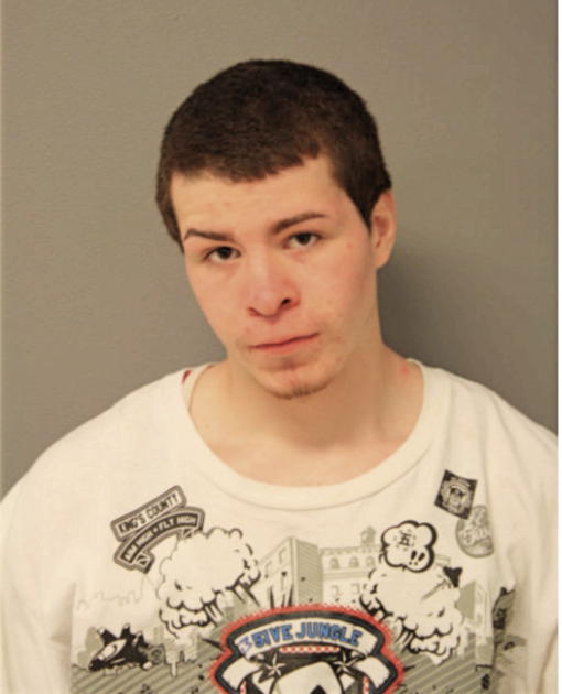 ALEXANDER RIVERA, Cook County, Illinois