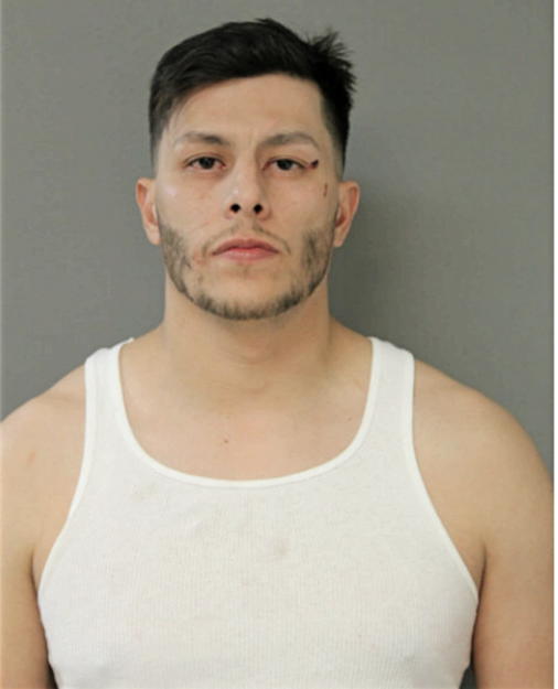 CARLOS A ROA, Cook County, Illinois
