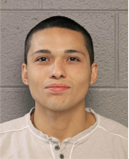 DEMETRIOS J TSILIVIS, Cook County, Illinois