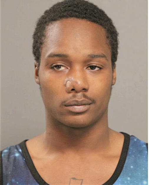 WALTER T ADAMS, Cook County, Illinois