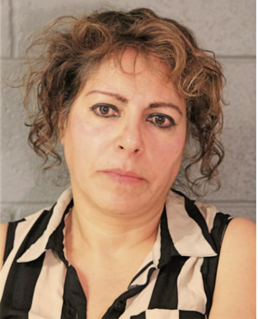 MARTHA AMBRIZ, Cook County, Illinois
