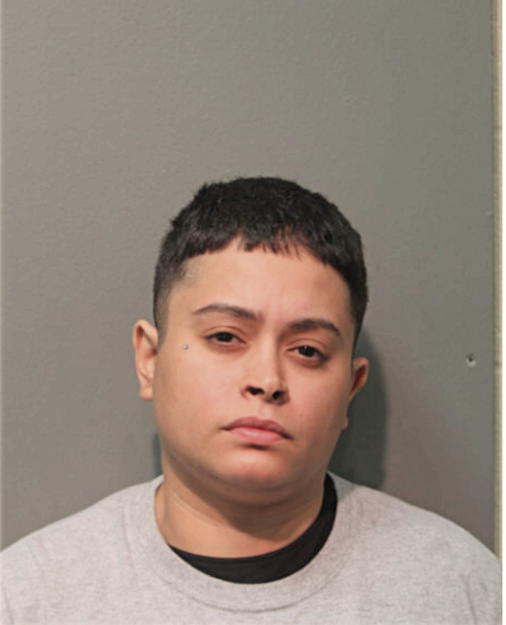 NUVIA E ANDUJAR, Cook County, Illinois