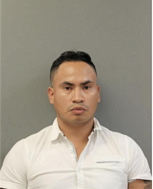 DIEGO M ARCENTALES, Cook County, Illinois