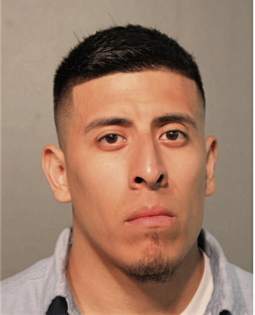 MIGUEL A ARIAS, Cook County, Illinois