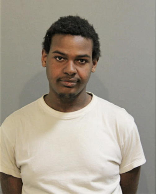 KEVIN L AUSTIN, Cook County, Illinois