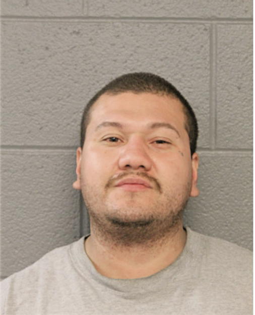 VICTOR J AVILES, Cook County, Illinois