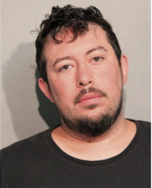 SEAN P BARNES, Cook County, Illinois