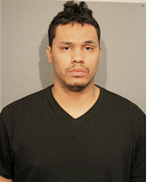NICHOLAS M BRADBURY, Cook County, Illinois